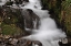 Picture of STREAM FALLS III