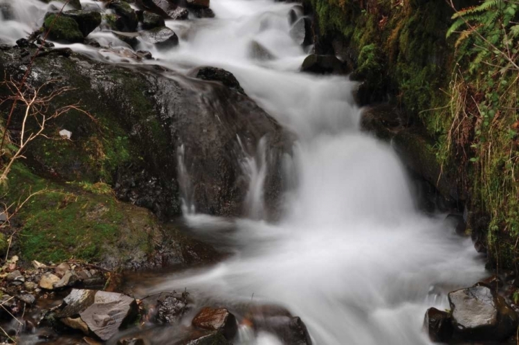 Picture of STREAM FALLS III