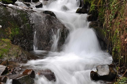 Picture of STREAM FALLS IV