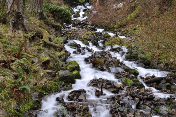 Picture of STREAM FALLS VI