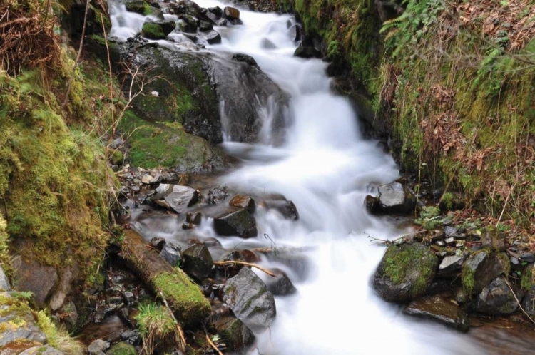 Picture of STREAM FALLS VII