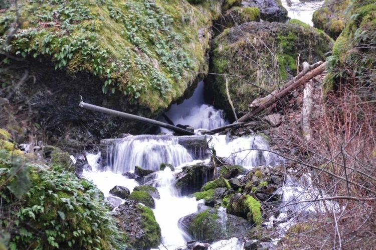 Picture of STREAM FALLS VIII