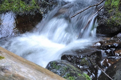 Picture of WATERFALL I