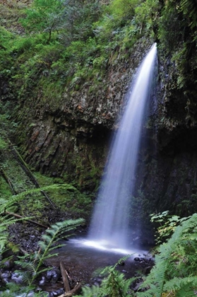 Picture of SERENE WATERFALL