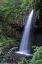 Picture of SERENE WATERFALL