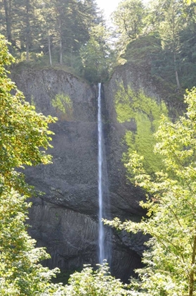 Picture of DISTANT WATERFALL