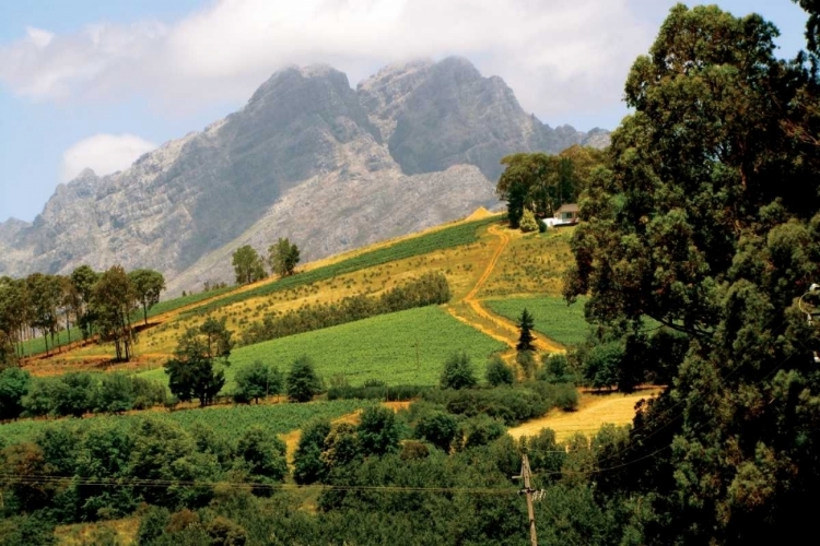 Picture of MOUNTAIN LANDSCAPE