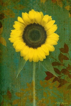 Picture of SUNFLOWER