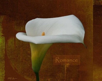 Picture of CALLA LILY ROMANCE