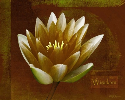 Picture of RUSTIC LOTUS WISDOM