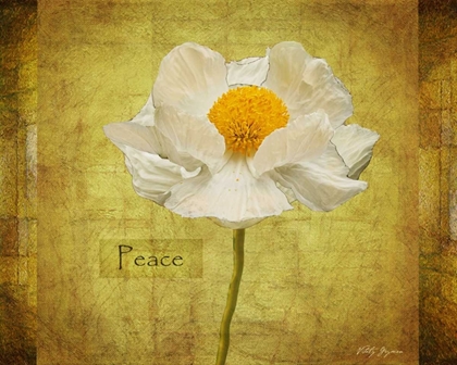 Picture of WHITE POPPY PEACE