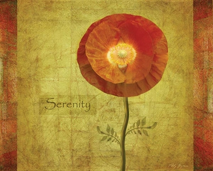Picture of POPPY SERENITY