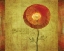 Picture of POPPY SERENITY