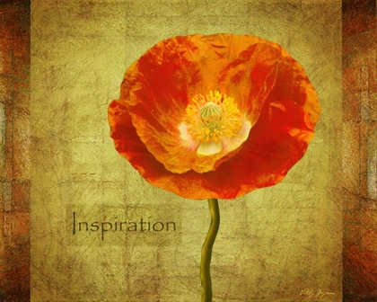 Picture of SUN POPPY INSPIRATION
