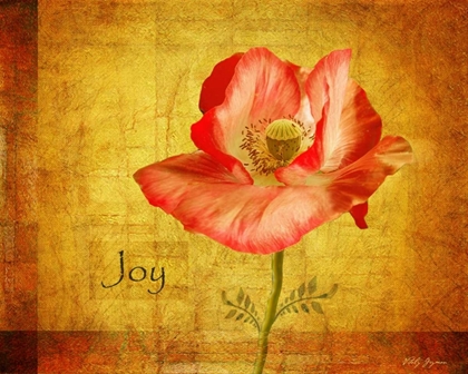 Picture of ROYAL POPPY JOY