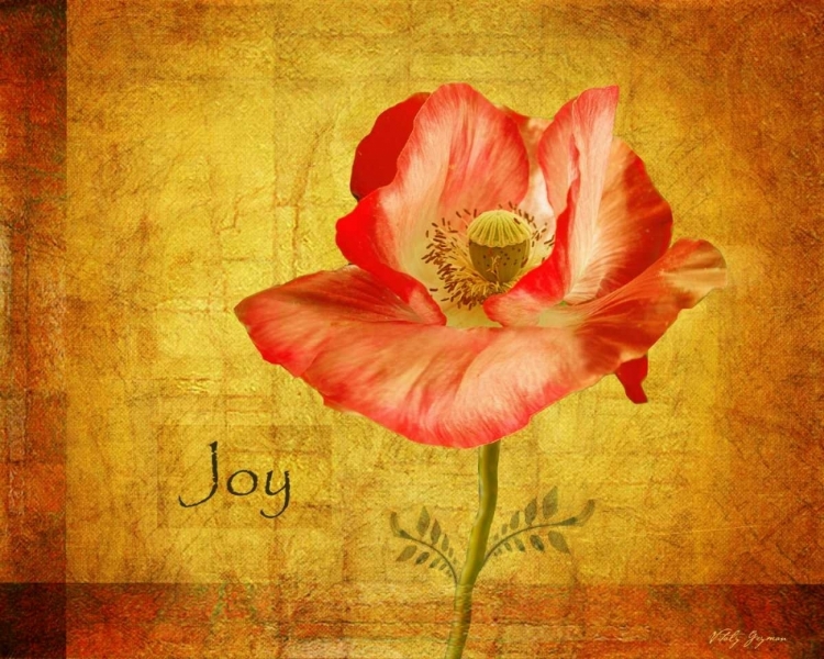 Picture of ROYAL POPPY JOY