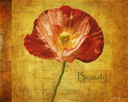 Picture of ROYAL POPPY BEAUTY