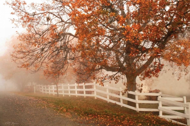 Picture of MISTY ROMANCE