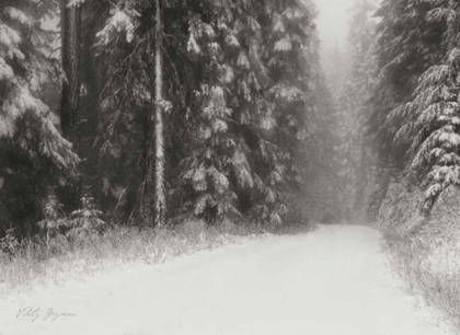 Picture of WINTER PINE TREE PARADISE BANDW