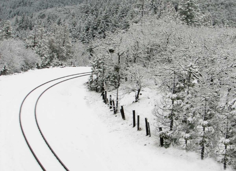 Picture of SNOW RAILROAD