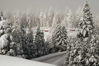 Picture of MT. ASHLAND RD