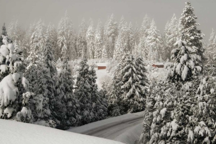 Picture of MT. ASHLAND RD