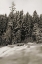 Picture of SNOW CASTLE