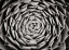 Picture of FLORAL LABYRINTH I