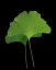 Picture of GREEN LEAVES IV