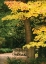 Picture of FALL MAPLE FEVER XI