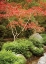 Picture of JAPANESE PARK I