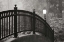 Picture of BRIDGE OF LIGHT II BANDW