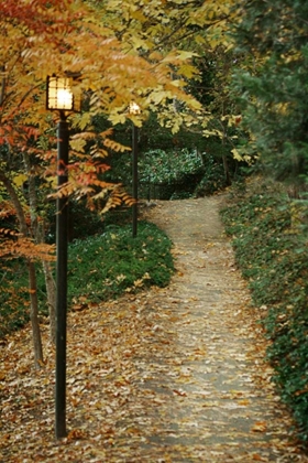 Picture of AUTUMN PATH I