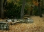 Picture of AUTUMN PARADISE III