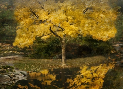 Picture of AUTUMN REFLECTIONS III