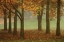 Picture of COLORS IN THE MIST VII