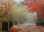 Picture of FALL PLAZA I