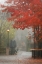 Picture of FALL PLAZA III