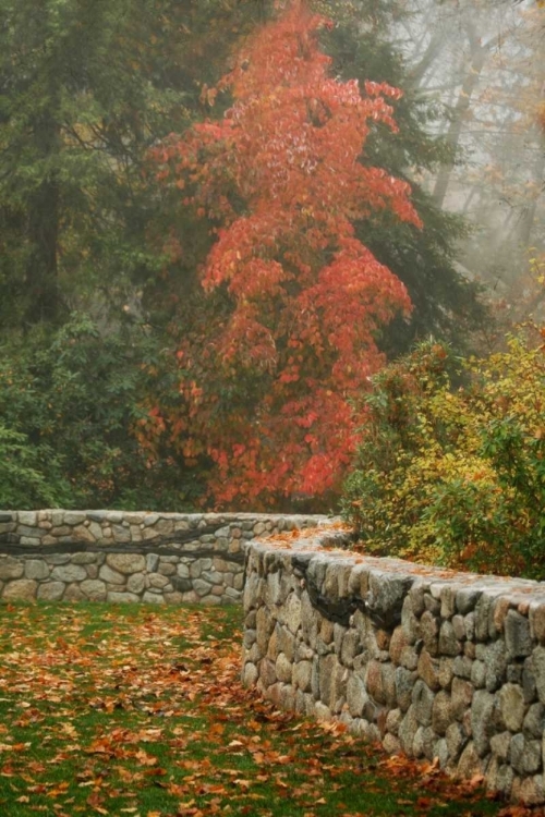 Picture of FENCE MOSAIC I