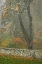 Picture of FENCE MOSAIC II