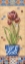 Picture of FLOWER IN GREECE I