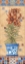 Picture of FLOWER IN GREECE II