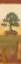 Picture of BONSAI I