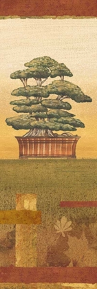 Picture of BONSAI II