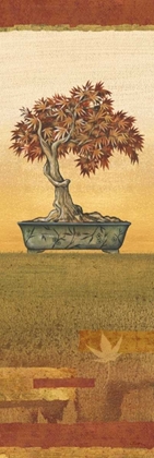 Picture of BONSAI IV