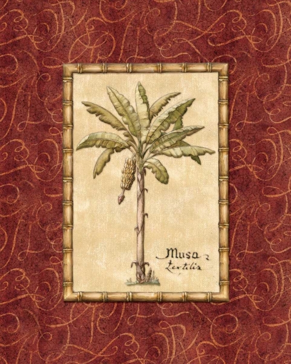 Picture of RED PASSION PALM II