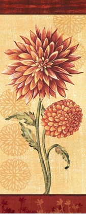 Picture of DAHLIA II