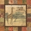 Picture of SAFARI I