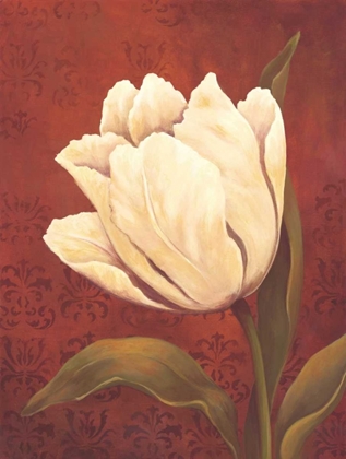 Picture of TULIP ON RED