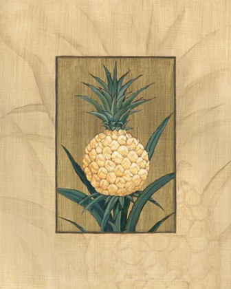 Picture of SUGAR LOAF PINEAPPLE